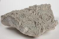 M 00935
<br/>
<br/>
<em></em>